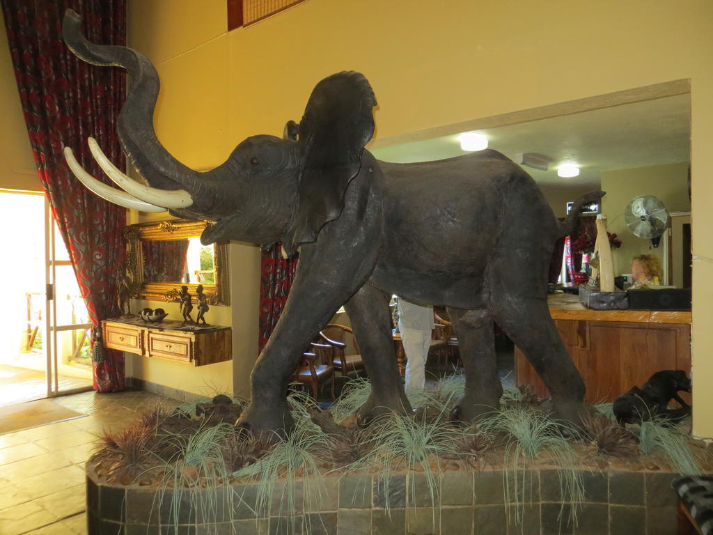 Ivory Tusk Lodge Цанін Екстер'єр фото